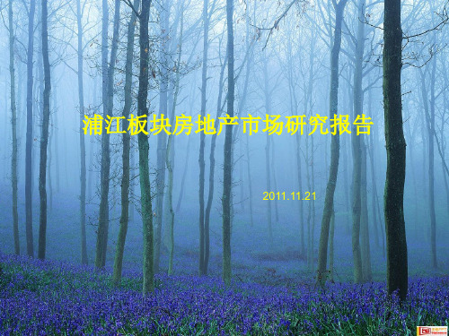 浦江板块报告
