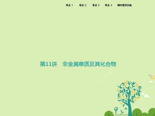 第11讲 非金属单质及其化合物
