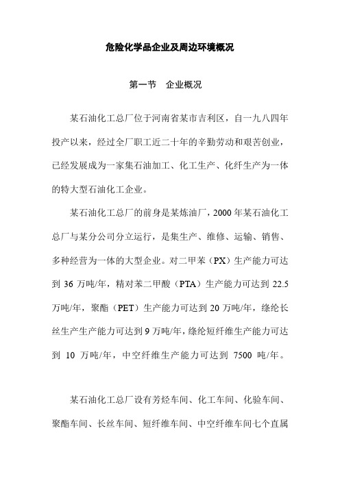 危险化学品企业及周边环境概况