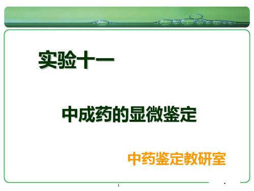 《中药鉴定学期末复习》实验十一 中成药的显微鉴定
