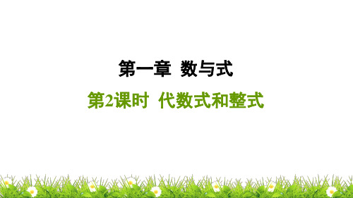 数学中考第2课时 代数式和整式ppt课件