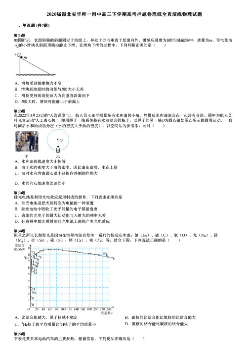 2020届湖北省华师一附中高三下学期高考押题卷理综全真演练物理试题