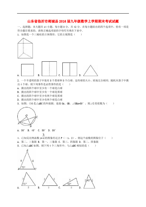 山东省临沂市郯城县九年级数学上学期期末考试试题(含