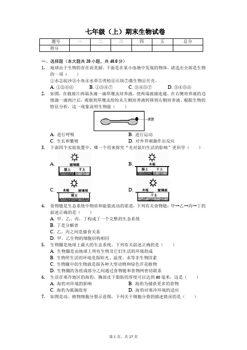 湖北省荆门市  七年级(上)期末生物试卷(含答案)