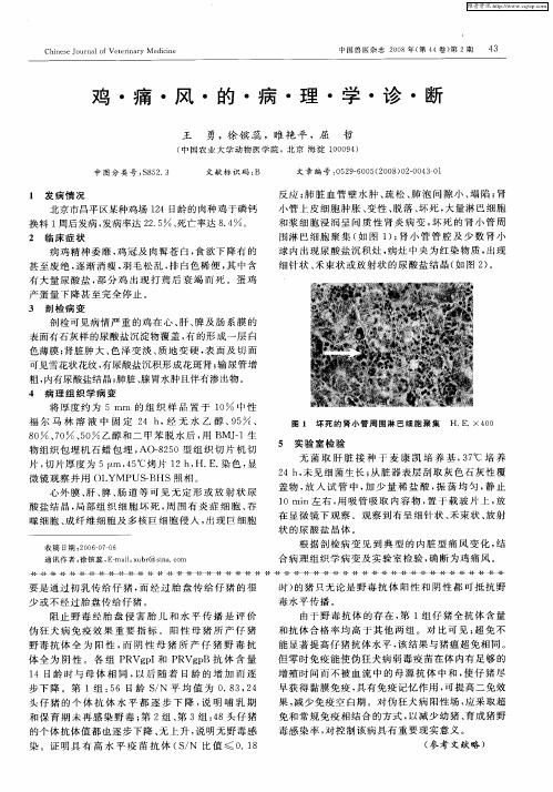 鸡痛风的病理学诊断
