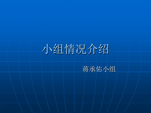 优秀小组简介