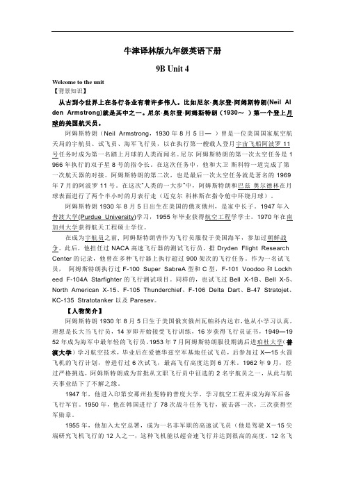 牛津译林版九年级英语下册 Unit 4 全单元导学案