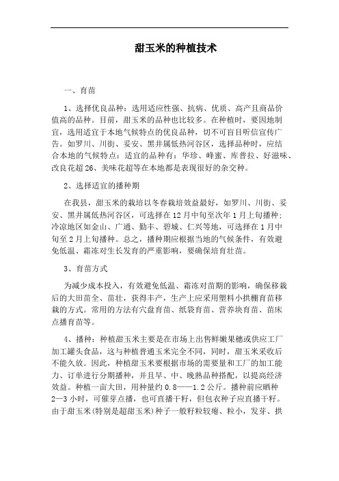 甜玉米的种植技术