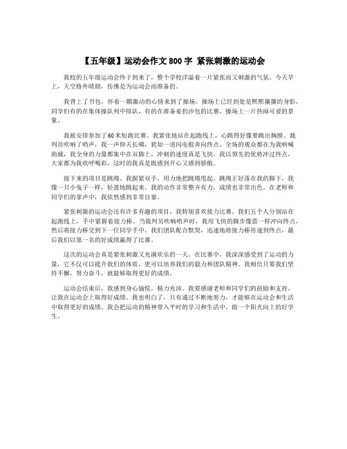 【五年级】运动会作文800字 紧张刺激的运动会