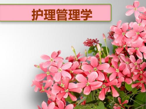 2019年护理管理学第二章管理理论原理及其在护理管理中的应用.ppt