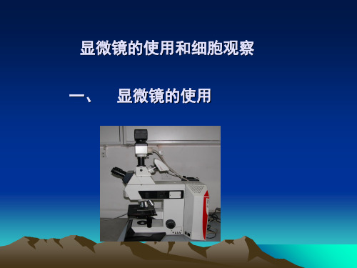 普通生物学实验