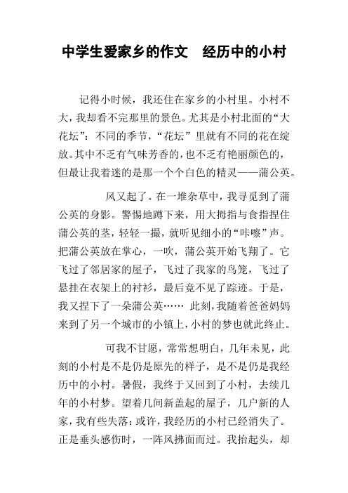 中学生爱家乡的作文经历中的小村