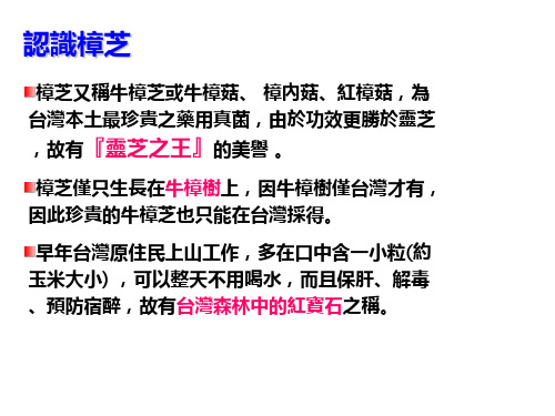 牛樟芝的作用及功效
