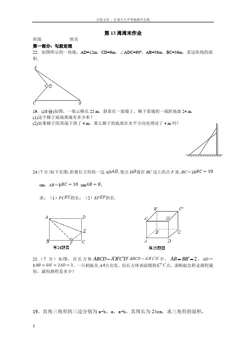 八年级数学13周周末作业