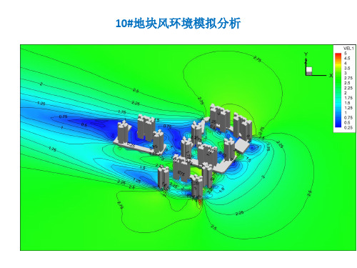 10#地块风环境模拟分析