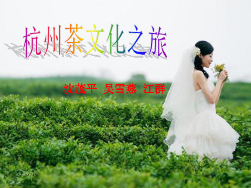杭州茶文化之旅