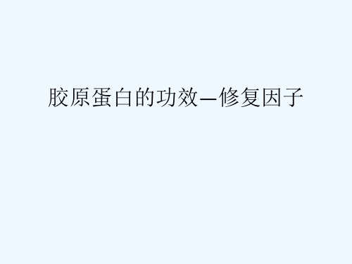 胶原蛋白的功效—修复因子