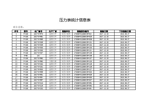 压力表统计台账(生产)