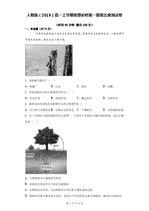 人教版(2019)高一上学期地理必修第一册第五章测试卷(word版,含答案)