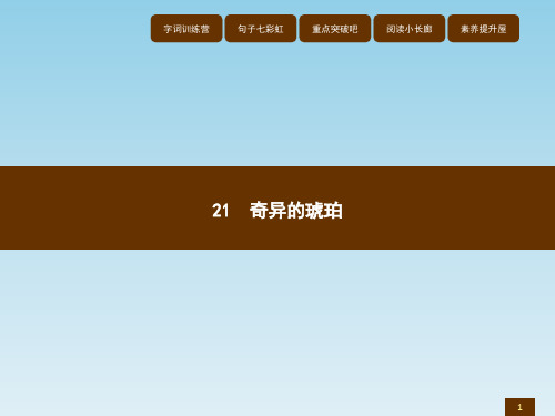 六年级上语文课件-21奇异的琥珀_语文S版