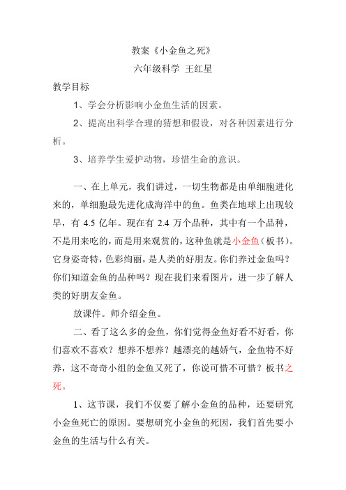小金鱼之死