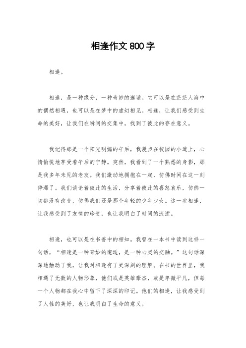 相逢作文800字