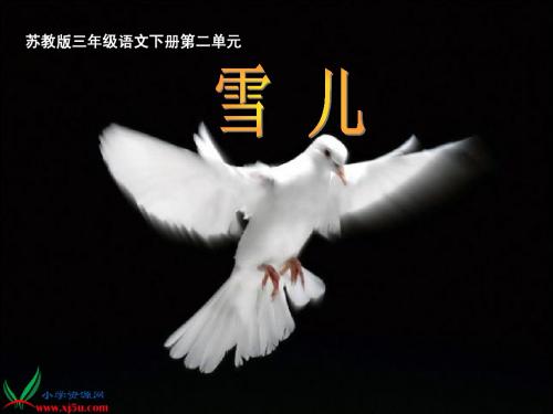 5《雪儿》PPT