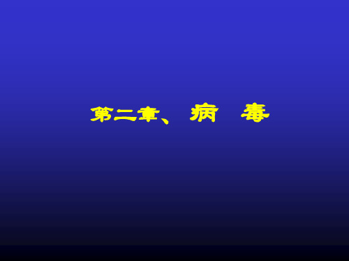 微生物-病毒