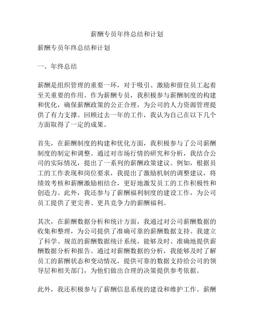 薪酬专员年终总结和计划