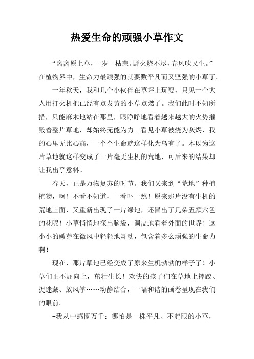 热爱生命的顽强小草作文