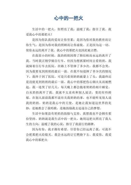 高中生优秀作文精选：心中的一把火
