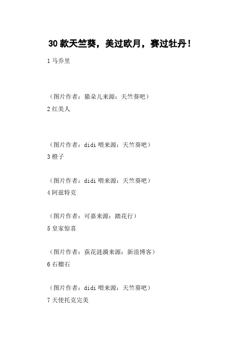 30款天竺葵,美过欧月,赛过牡丹!