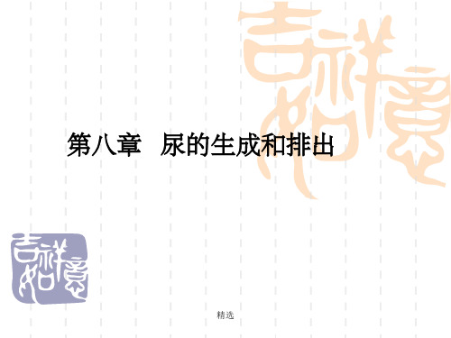 生理学完整 第八章 肾脏的排泄功能ppt课件