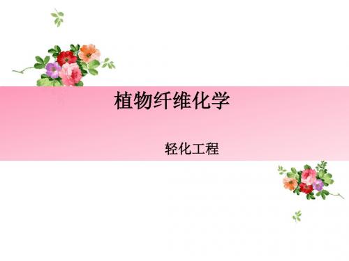 第二章 木素