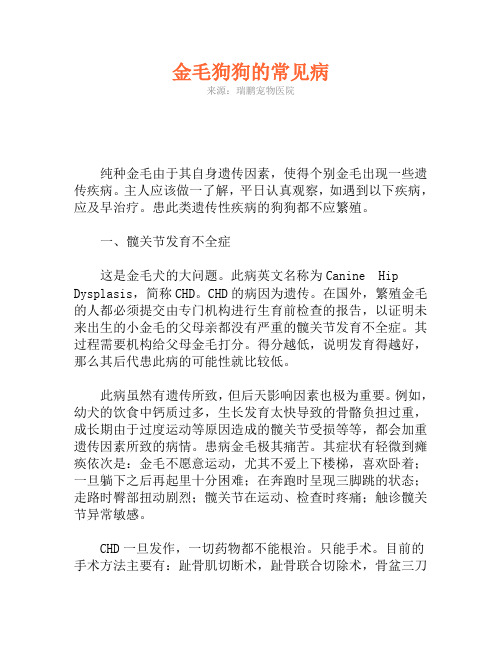 金毛狗狗的常见病
