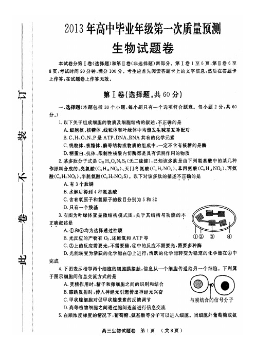 2013年郑州市一检测试高三生物试题