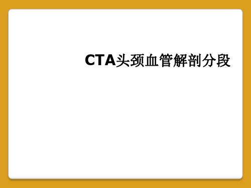 CTA头颈血管解剖分段