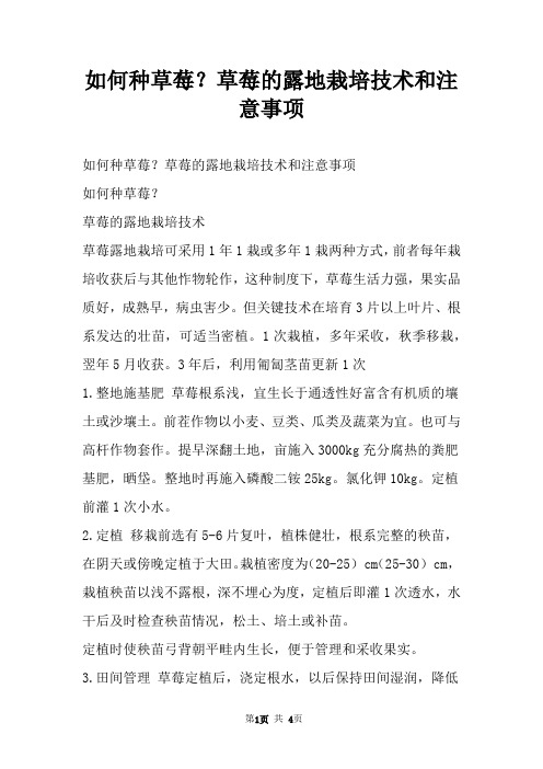 如何种草莓？草莓的露地栽培技术和注意事项