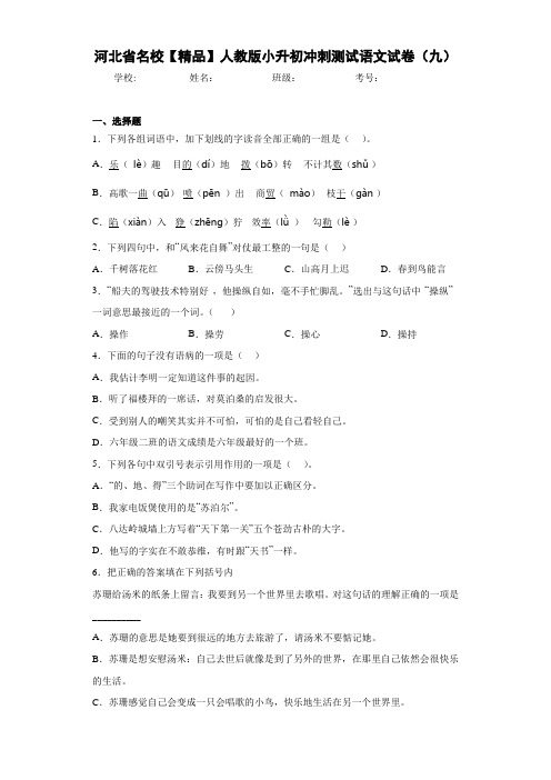 名校人教版小升初冲刺测试语文试卷(九)(含答案解析)