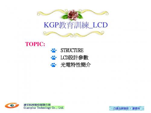 CSTN架构