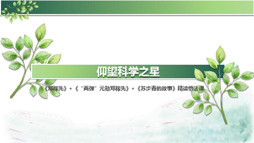 人教部编版语文七年级下册第一单元主题阅读课件(共51张PPT)