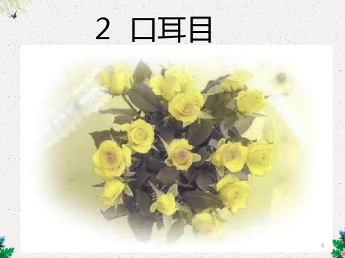 (人教新课标)一年级语文上册《口耳目》课件(共47张ppt)