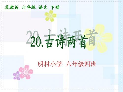 苏教版六年级下册20《古诗两首》