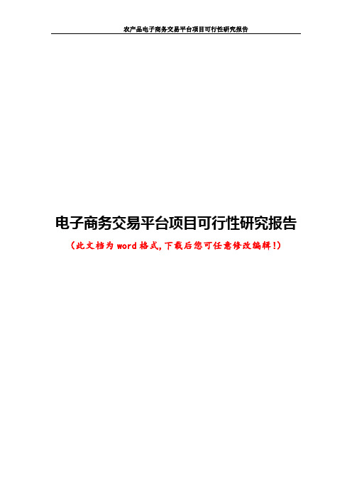 电子商务交易平台项目可行性研究报告