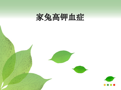 机能探索性实验ppt课件