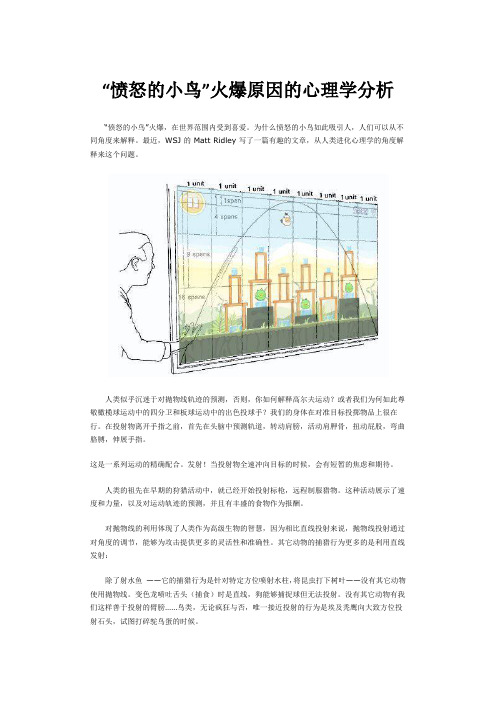 【心理案例】“愤怒的小鸟”火爆原因的心理学分析