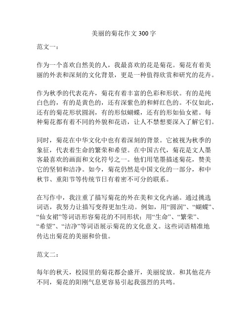 美丽的菊花作文300字