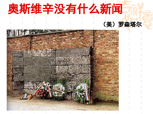 奥斯维辛没有什么新闻ppt课件