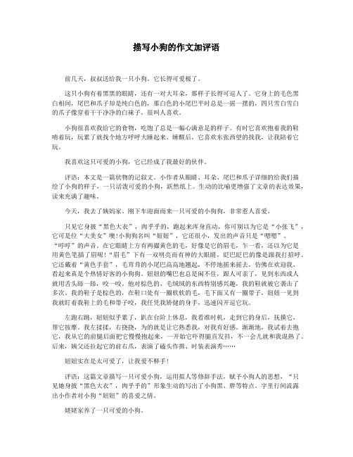 描写小狗的作文加评语