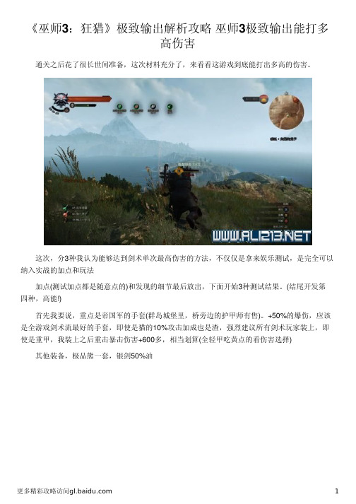 《巫师3：狂猎》极致输出解析攻略 巫师3极致输出能打多高伤害